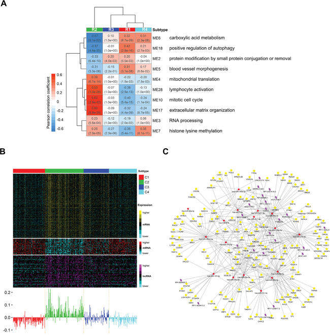 Distinct expression patterns of prognosis modules among subtypes and the potential regulatory network of miRNAs in module 10.