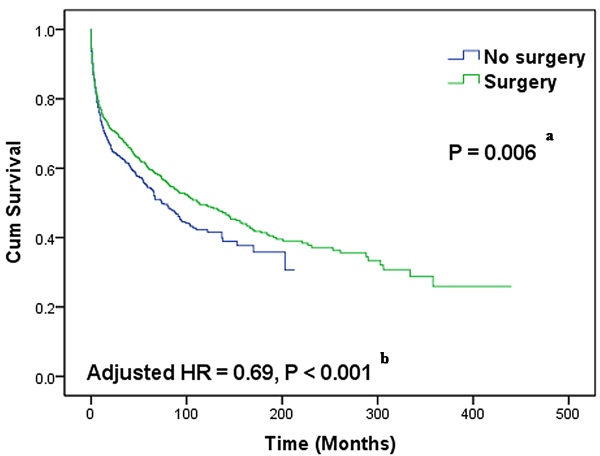 Kaplan-Meier curves of overall survival differences between patients with and without surgical intervention.