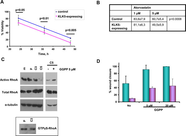 KLK5 may suppress malignancy by inhibiting RhoA signaling and EMTs.