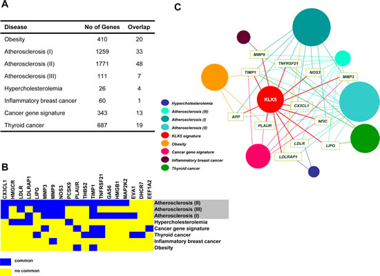 The &#x201c;KLK5 signature&#x201d; overlaps with gene signatures of cholesterol-associated diseases and cancer.