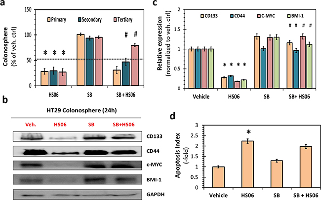 Activation of p38MAPK is critical for HS06&#x2019;s effect on CSCs growth and self- renewal.