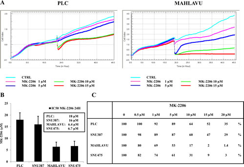 Dynamic monitoring of cell growth in HCC cells with the xCELLigence System.