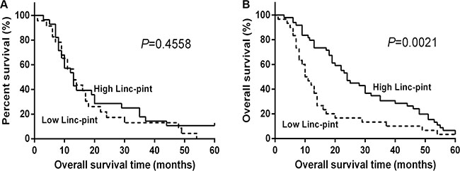 Low tissue Linc-pint levels are associated with a worse prognosis of PCa patients.