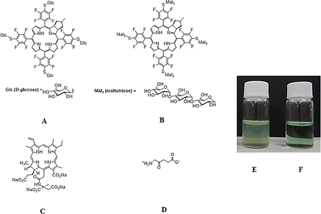 Chemical structure of G-chlorin, O-chlorin, TS, and 5-ALA and water solubility of O-chlorin.