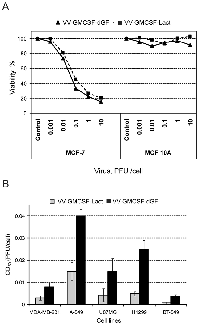 Oncolytic and cytotoxic activities of recombinant strains VV-GMCSF-Lact and VV-GMCSF-dGF in vitro.