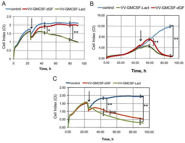 The influence of recombinant VACVs on cell proliferation.