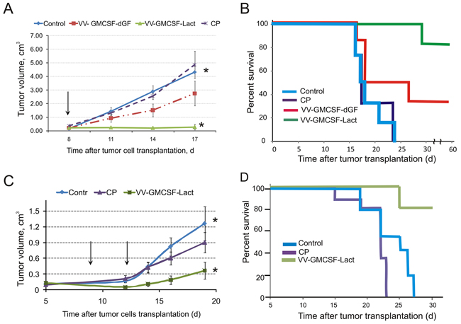 VV-GMCSF-Lact prolongs viability and delays growth of chemoresistant lymphosarcoma RLS.