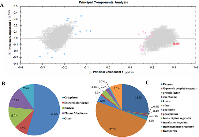 Proteomics analysis using Progenesis QI and IPA.