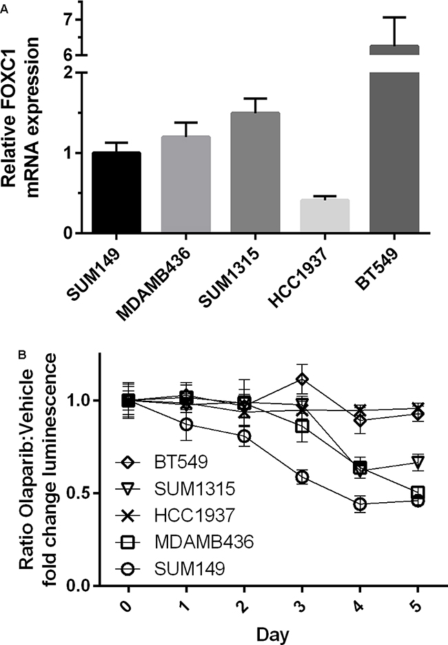 BRCA1-mutant cell line intrinsic FOXC1 level associated with PARPi sensitivity.