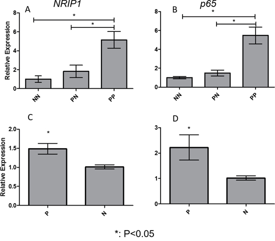 Expression of NRIP1 and p65 was elevated in lesions and PBMCs of psoriasis patients.