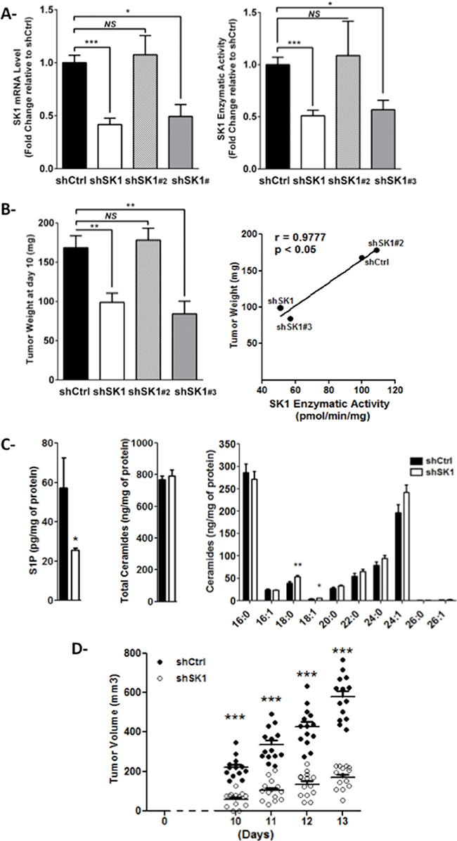 SK1 expression in melanoma cells drives tumor development in mice.