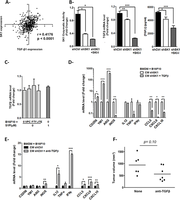 Melanoma SK1-induced TGF-&#x03B2;1 stimulates macrophage polarization.