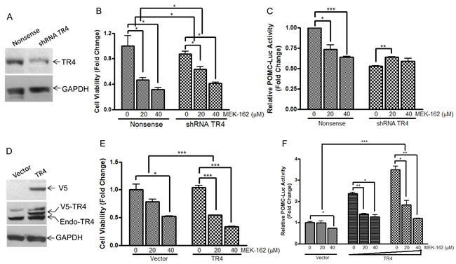 TR4 contributes to the repressive effects of MEK-162 in controlling murine pituitary tumor cell proliferation and hormone synthesis.