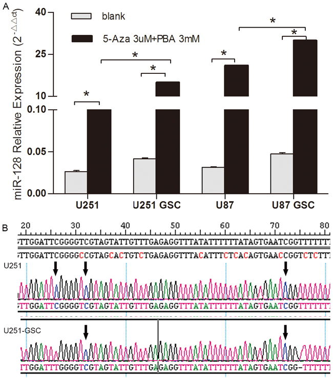 DNA methylation analysis of miR128-1 gene in glioma cells and GSCs.