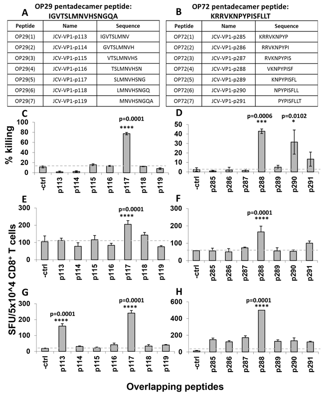 Fine mapping analysis of immunodominant pentadecamer peptides using IFN-&#x03B3; ELISPOT assays and cytotoxicity assays.