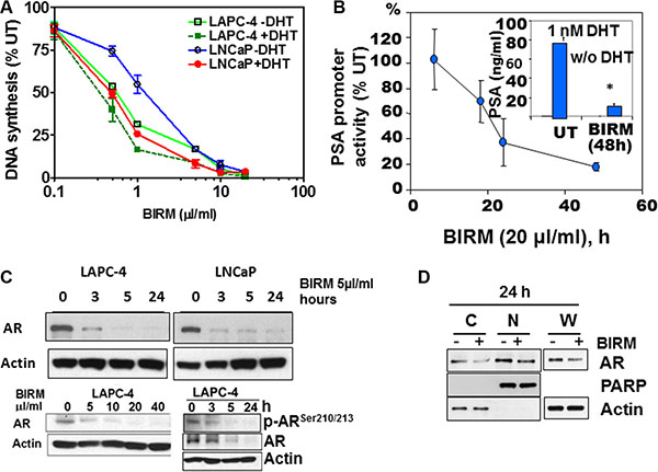 BIRM mediated AR down regulation.