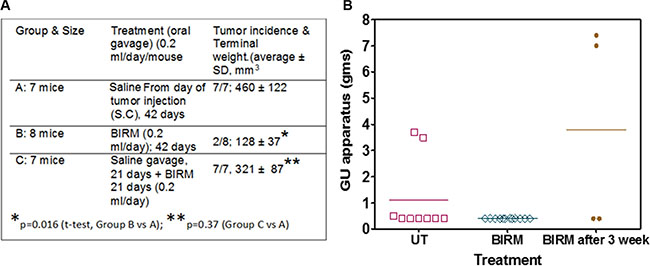 BIRM reduced incidence of PC-3 and LNCaP tumors.