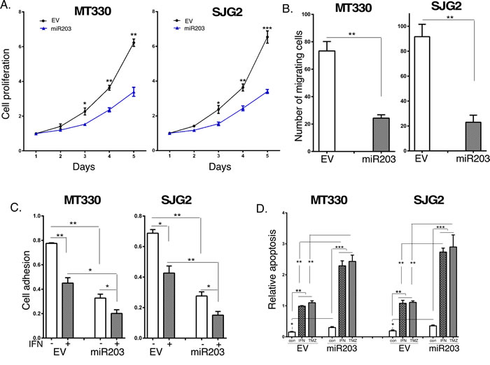 The effects of Enforced miR203 expression on glioma cell proliferation, migration and sensitivity to induction of apoptosis.