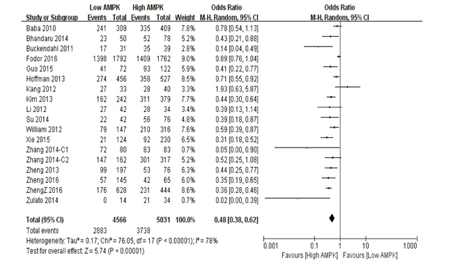 The correlation between AMPK expression levels and 3-year overall survival among cancer patients.