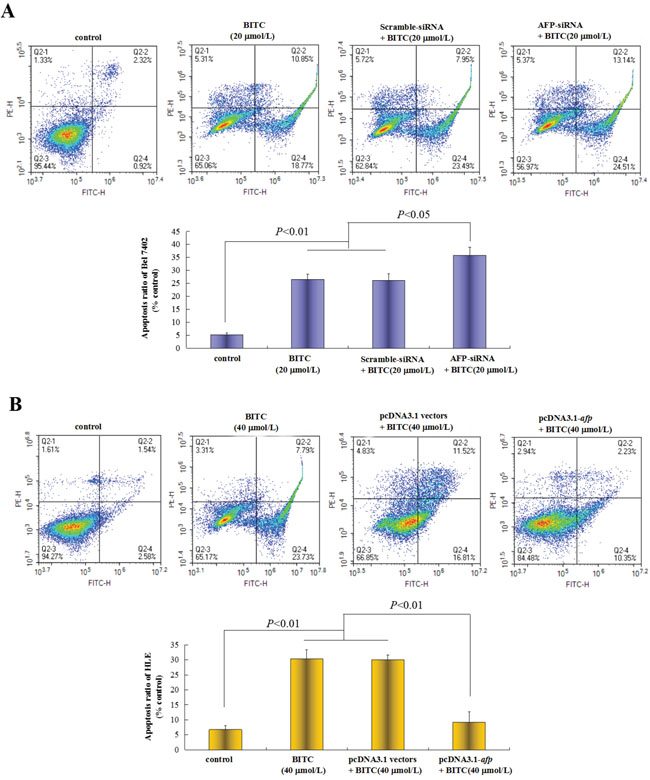 Effects of AFP on BITC regulation of human hepatoma cell apoptosis.