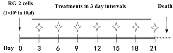 Flow diagram of lumbar puncture and drug administration schedule.