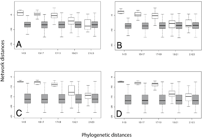 Distributions of network distance values between protein pairs in different phylogenetic distance bins.