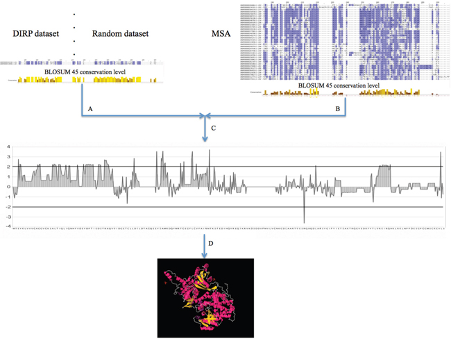 General pipeline for obtaining the set of DIRP specific positions and mapping them into Ras 3D complexes.