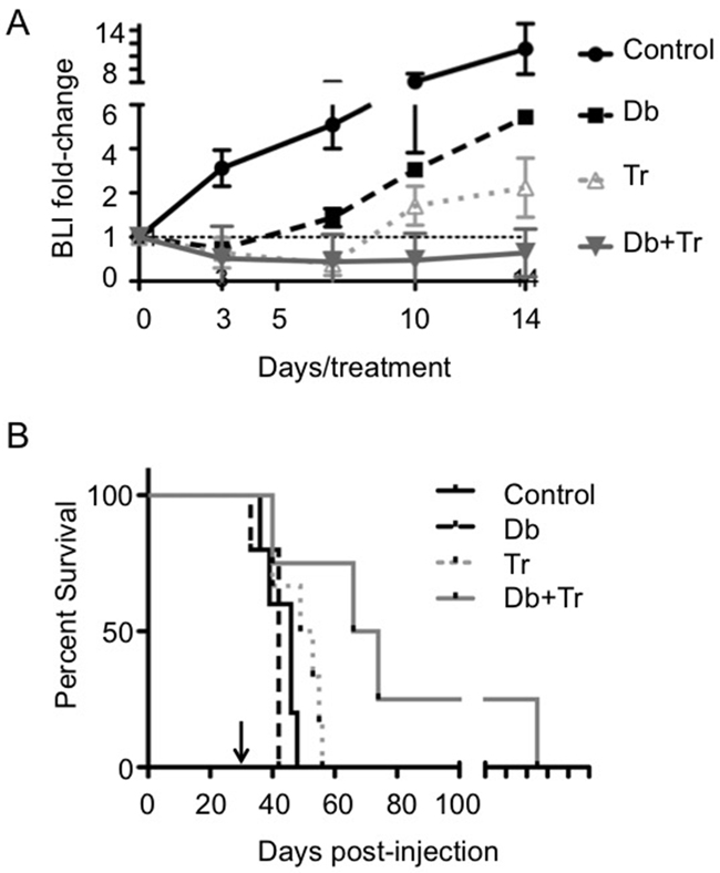 BRAFV600E and MEK inhibitor mono- and combination therapy effects on bioluminescence intensity and survival in syngeneic BrafV600E expressing Ink4a-Arf knock-out grafts.