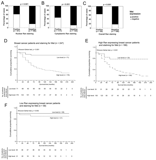 Relationship between tumor staining for Ran and Met tumor survival in breast cancer patients.