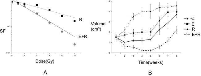 Tumor inhibition and drug resistance after combined erlotinib and radiation treatment.