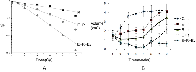 The effect of everolimus on drug resistance in adenocarcinoma after combined radiation and TKI therapy.