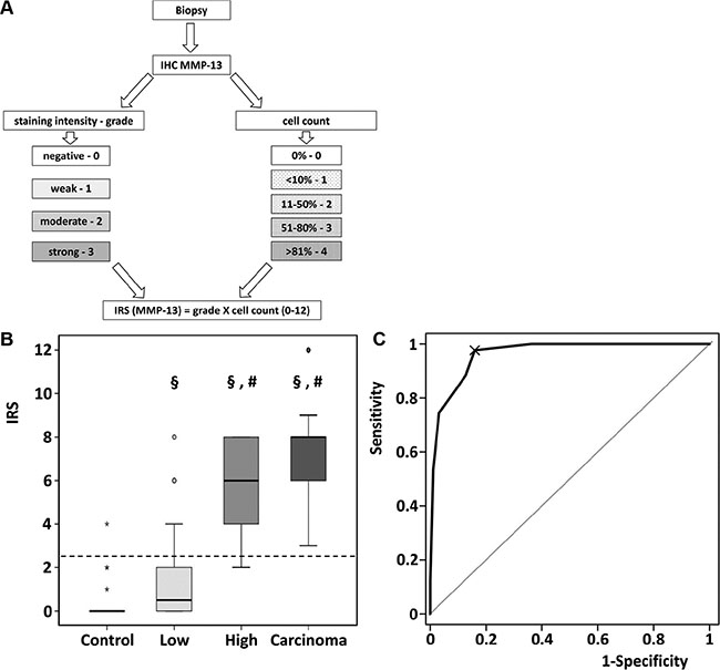 Quantitative assessment of MMP-13 by Immunoreactive Scoring.