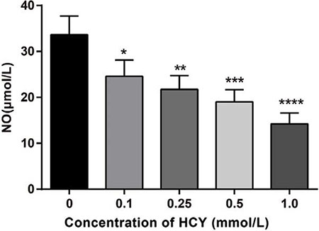 Effect of different doses (0, 0.1, 0.25, 0.5 and l.0 mmol/L) of HCY on the release of NO of HCAECs.