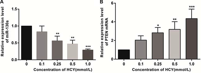 Effect of different doses (0, 0.1, 0.25, 0.5 and l.0 mmol/L) of HCY on the expressions of miR-130a and PTEN mRNA in HCAEC cells detected by RT-qPCR.