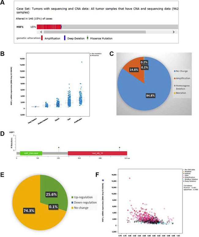 The cBio cancer genomics portal analysis.
