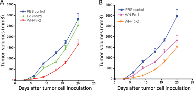 Inhibition of tumor growth in BALB/c mice.