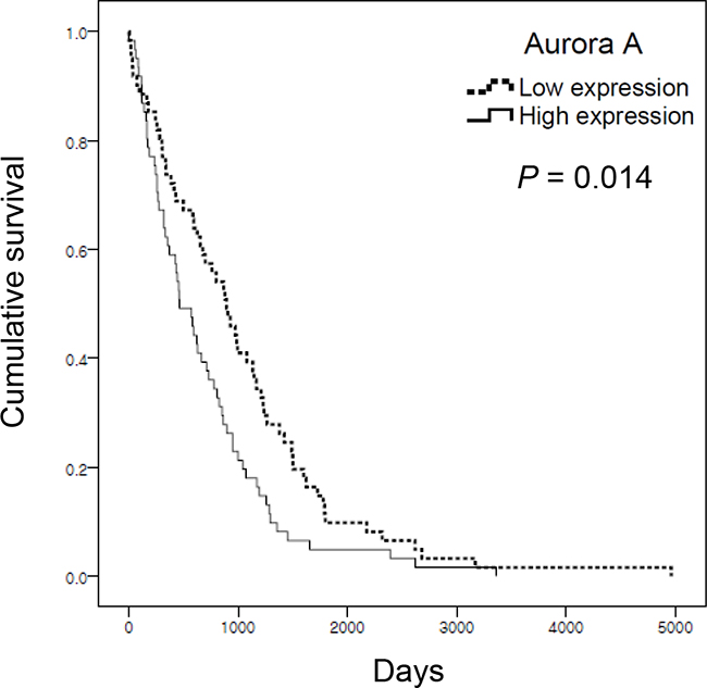 Aurora A expression is associated with low survival of lung adenocarcinoma cancer patients.