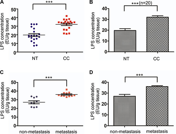 LPS concentration in colorectal cancer tissues and normal mucosa.