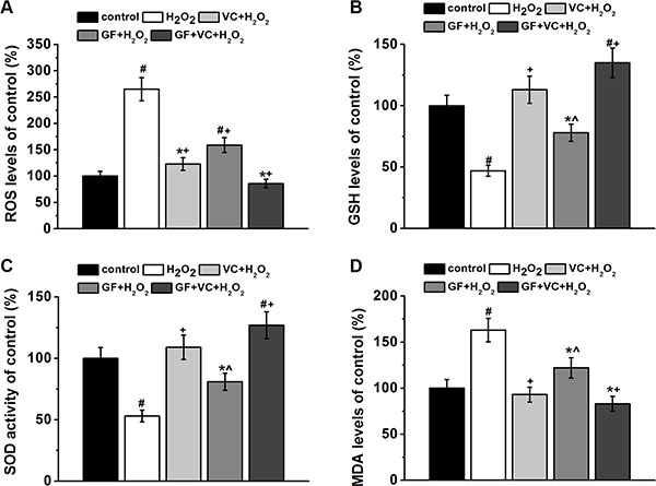 GF, VC and GS + VE successfully attenuated 0.2 mM H2O2-induced oxidative stress in BM-MSCs.