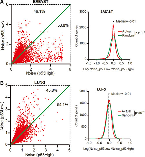 Gene expression noise was positively correlated with p53 activity in normal tissues.