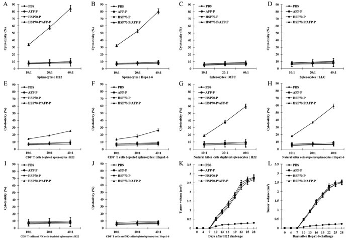 HSP70-P/AFP-P vaccine primed the strongest AFP-specific CD8