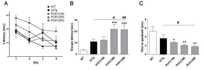 Depletion of Tregs accelerates spatial learning deficits in 3xTg-AD mice.