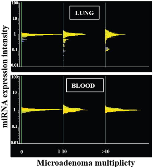 miRNA expression intensity in mouse lung and blood serum as related to the multiplicity of lung microadenomas.