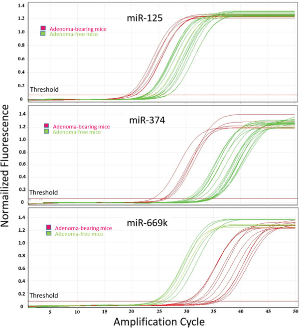 qPCR analysis of lung miRNAs.