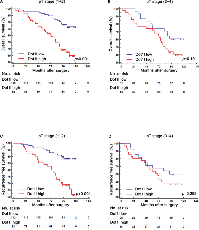 Subgroup analysis to assess prognostic value of Dot1l by pT stage in ccRCC patients.