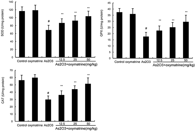 Effects of oxymatrine on As2O3-induced antioxidant enzymes SOD, GPX, and CAT activity.