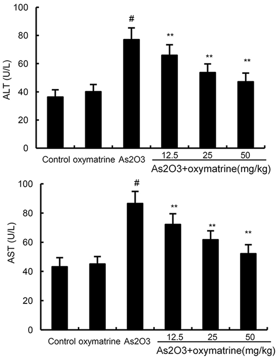 Effects of oxymatrine on As2O3-induced ALT and AST levels.