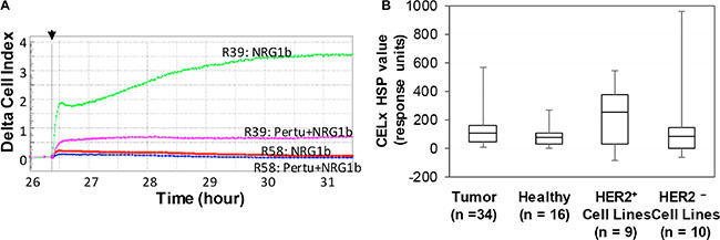 Identification of subgroups of HER2&#x2013; tumor-derived primary cells by CELx HSP test.