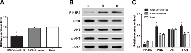 Overexpression of miR-126 inhibits PIK3R2 and activates the PI3K/AKT signaling pathway.