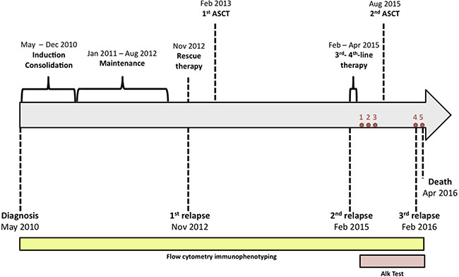 The timeline represents treatments and interventions, and the patient&#x2019;s clinical state, respectively.